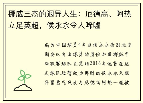 挪威三杰的迥异人生：厄德高、阿热立足英超，侯永永令人唏嘘